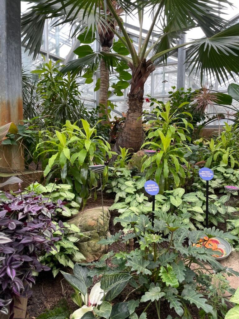 meijer garden - greenhouse