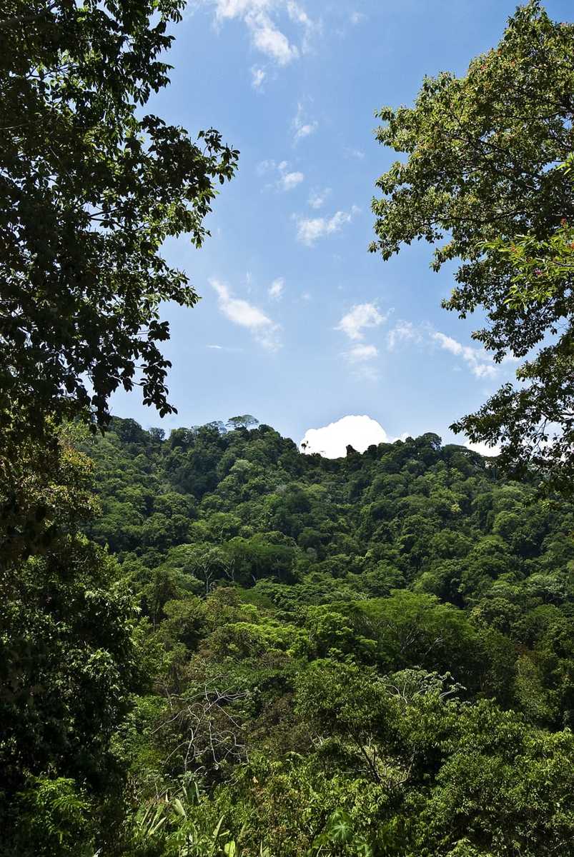 Shovel Ready Development Land, Manuel Antonio, Puntarenas