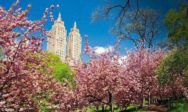 Market Insights for Manhattan: April 2024