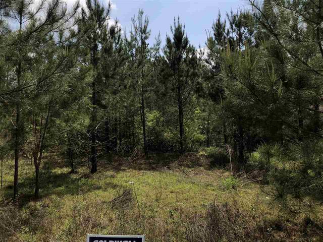 A view of a wooded area with dense trees, indicating a plot of land or a forested property.