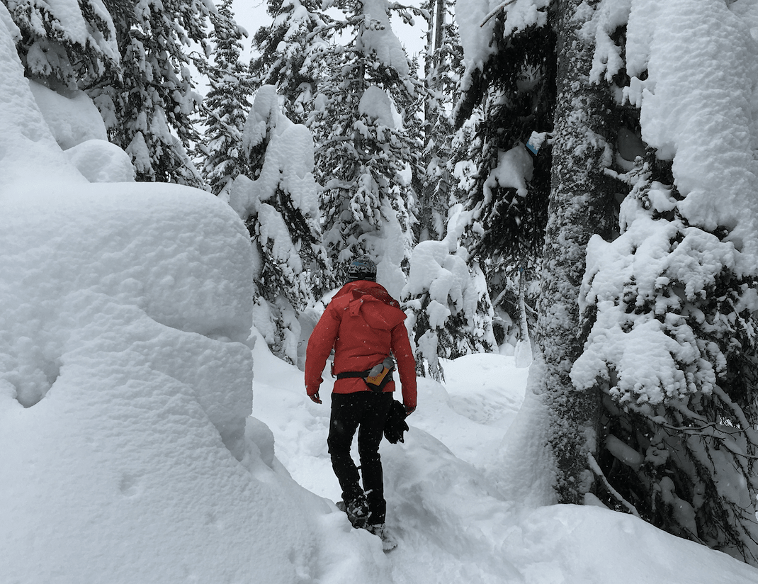 REAL ESTATE NEWS | JANUARY 2024