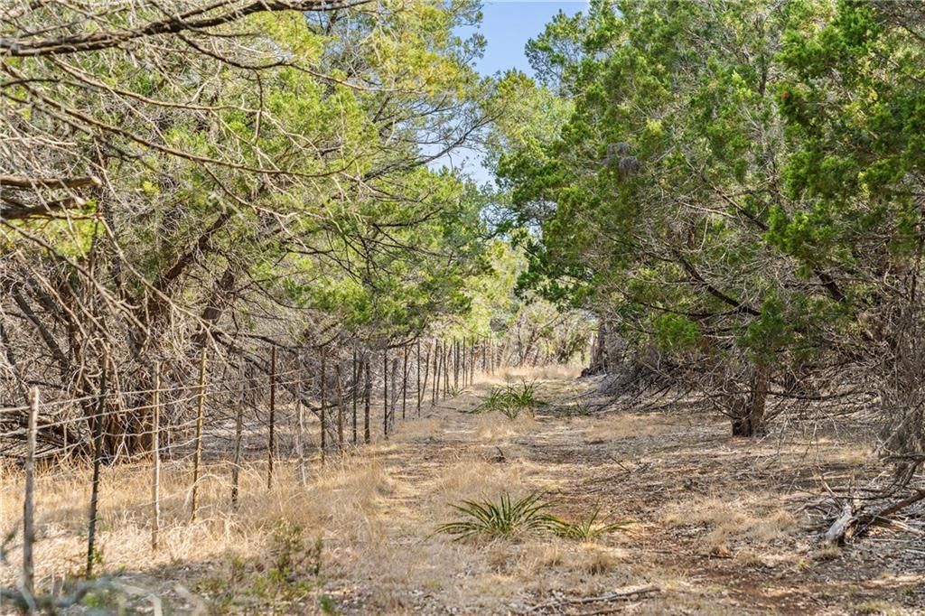 8146 FM 165  | 28.09 ACRES