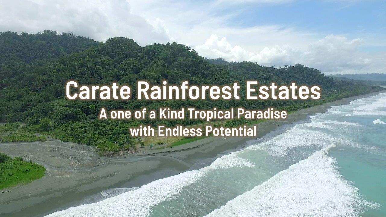 Pacific Frontage Rainforest Estate, Osa, Puntarenas