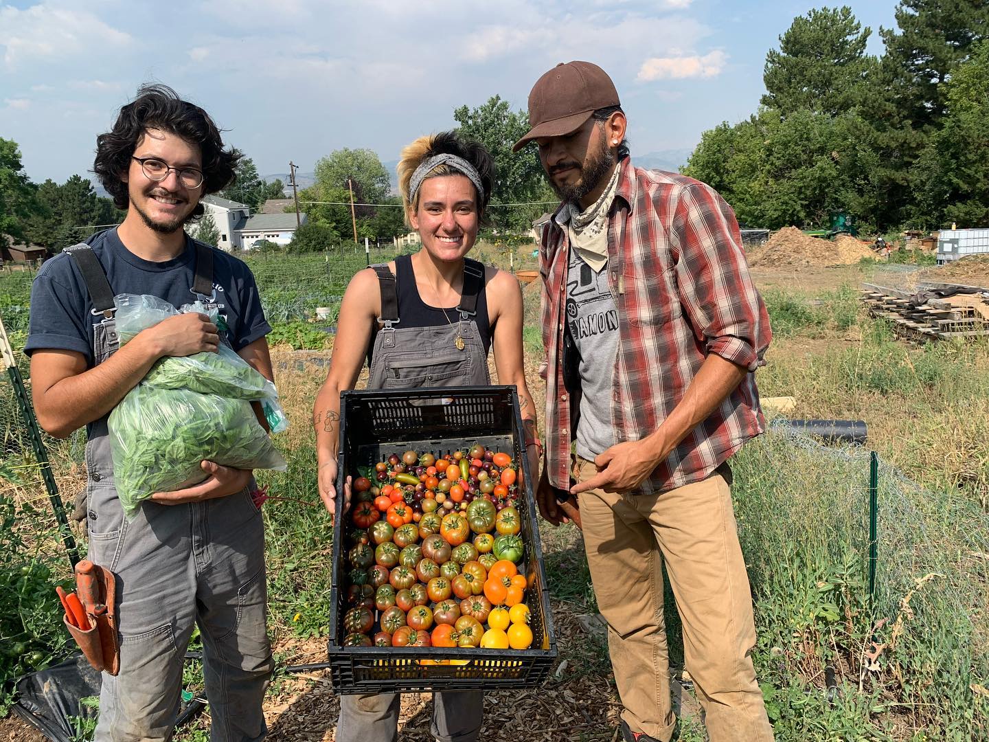 Urban Agriculture