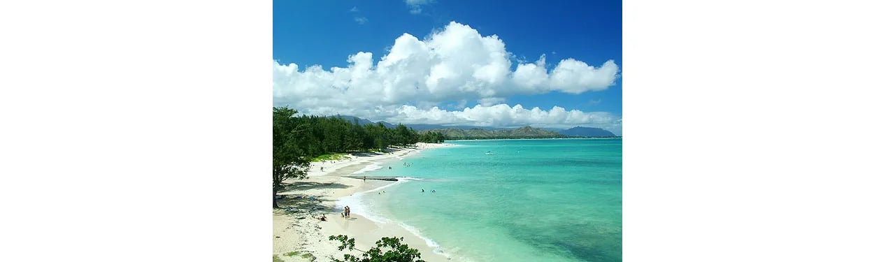 Sotheby’s International Realty Network Welcomes Hawaii Firm
