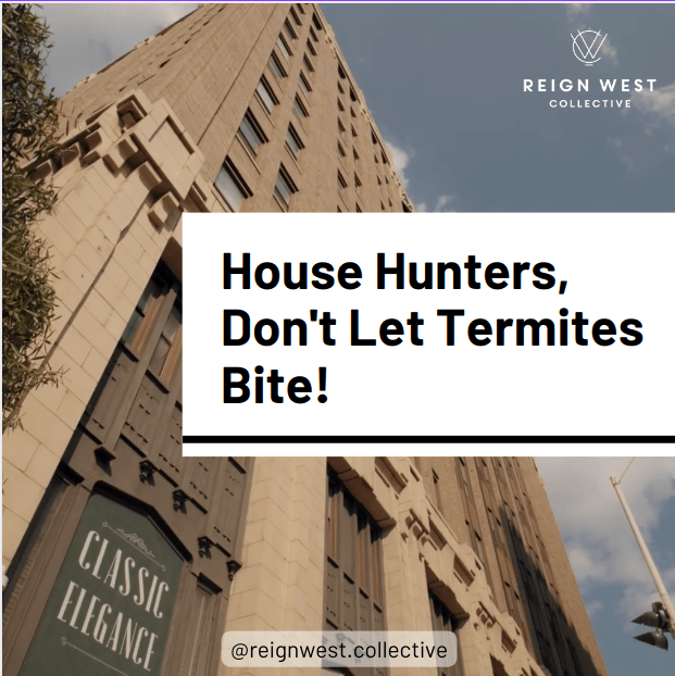 House Hunters, Don't Let Termites Bite!