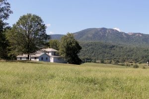 Farm and Estate Market