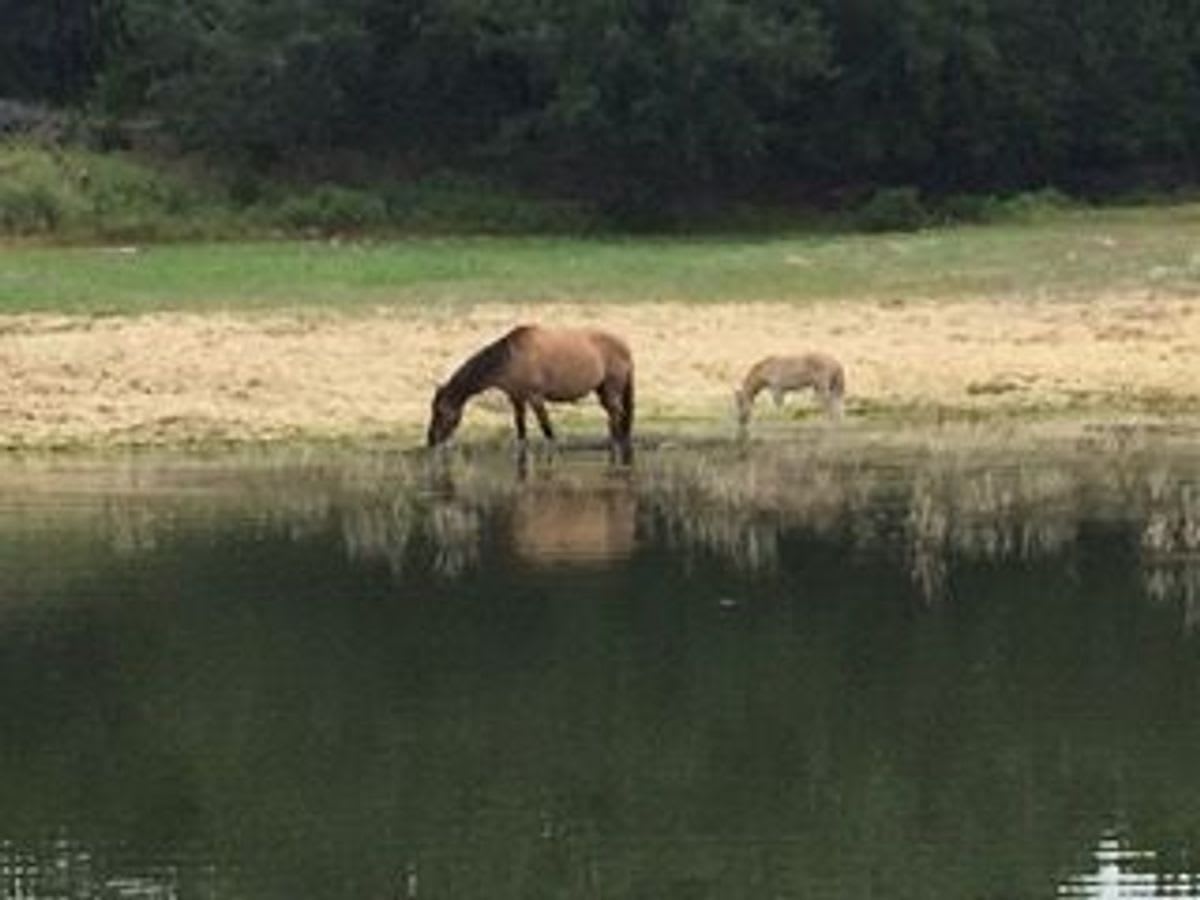 Ranch at Cypress Hill Springs