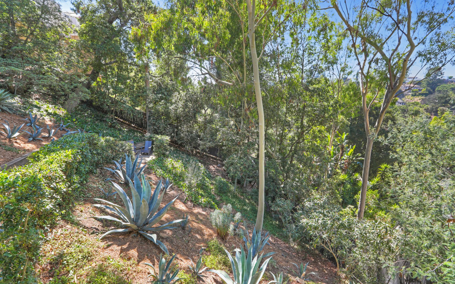  3259 Deronda Dr