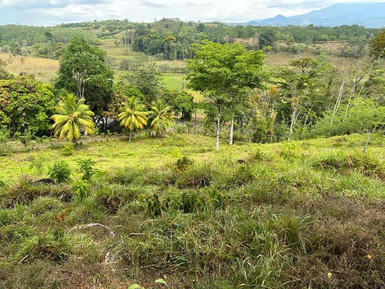 Buena Vista Land | Nature, Comfort, and Opportunity in One