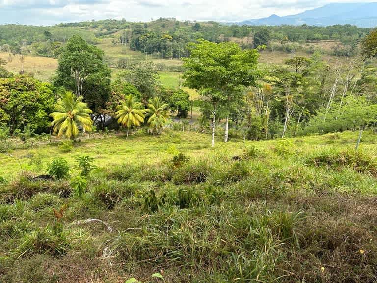 Buena Vista Land | Mountain Home Construction Site For Sale in Bijagua