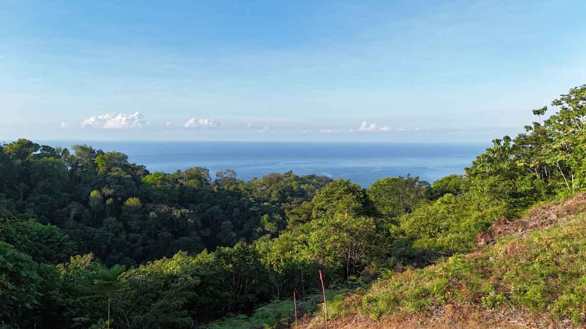 Ocean view, immaculately prepared, jungle and river lot in Ojochal. Ready To Build!.