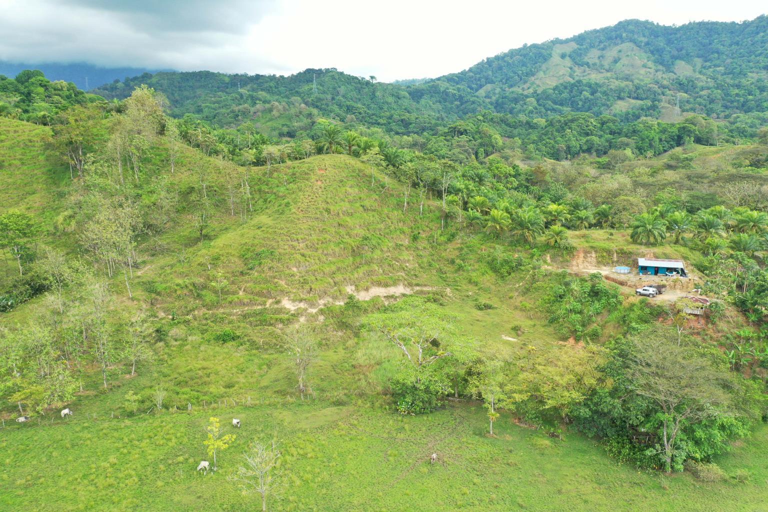 Prime 286-Acre Ocean View Property for Sale Near Quepos, Costa Rica – Ideal for Development