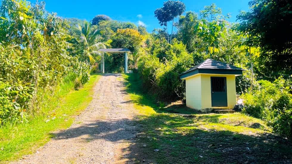 Casa Linda Vista with Ocean View Above Dominical Beach