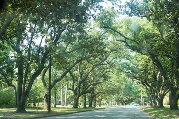 Wilmington