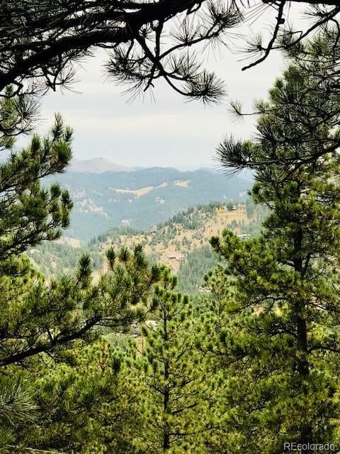 Pine Brook Hills 