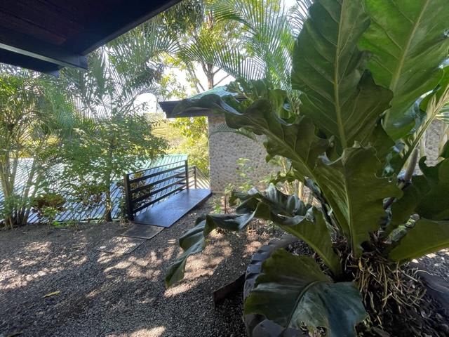 3 Bedroom Home Plus 8 Cabins, Pool, Caretaker House, Tons of Room to Expand