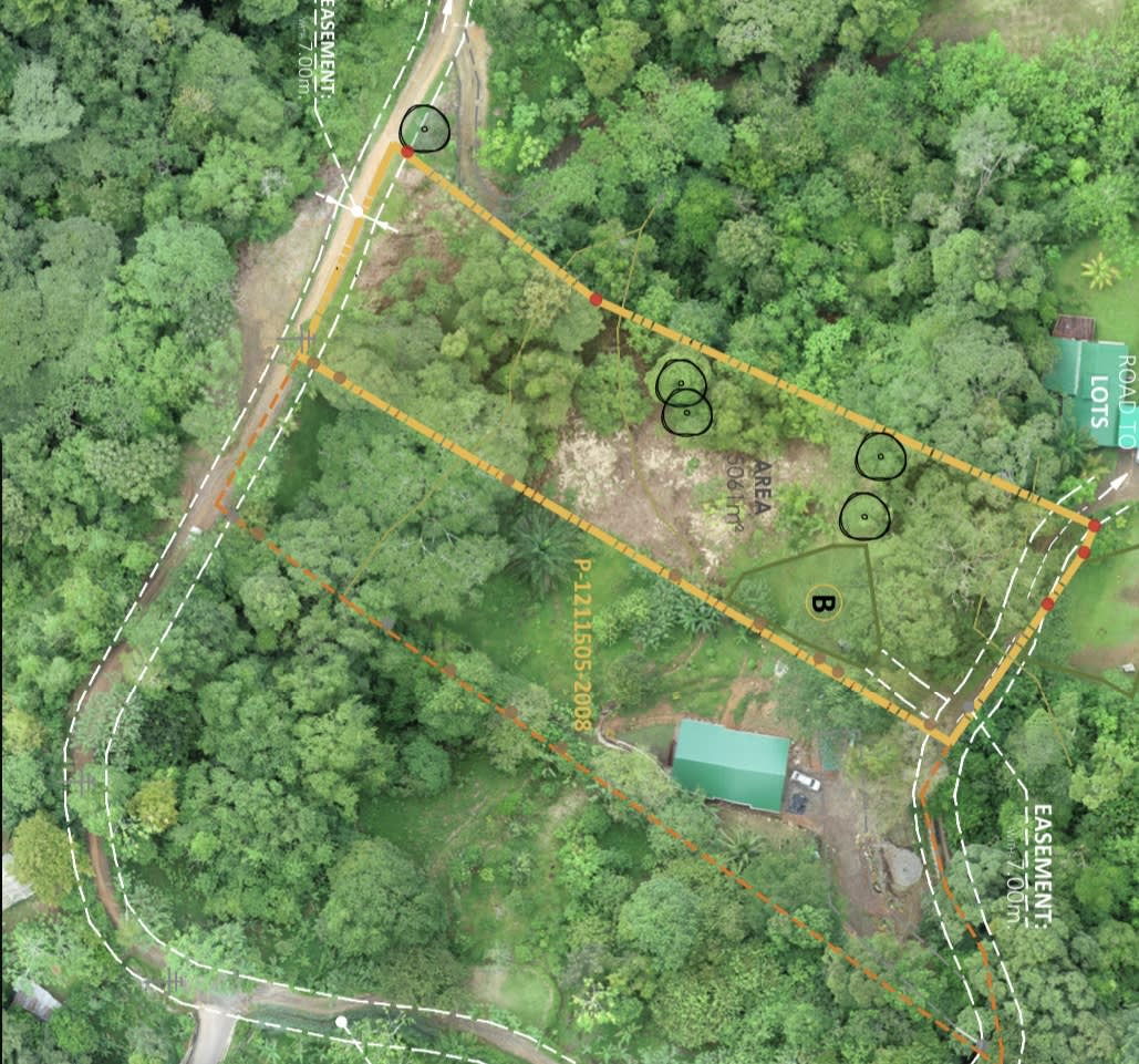 Secret Paradise Property in Altos de la Colonia