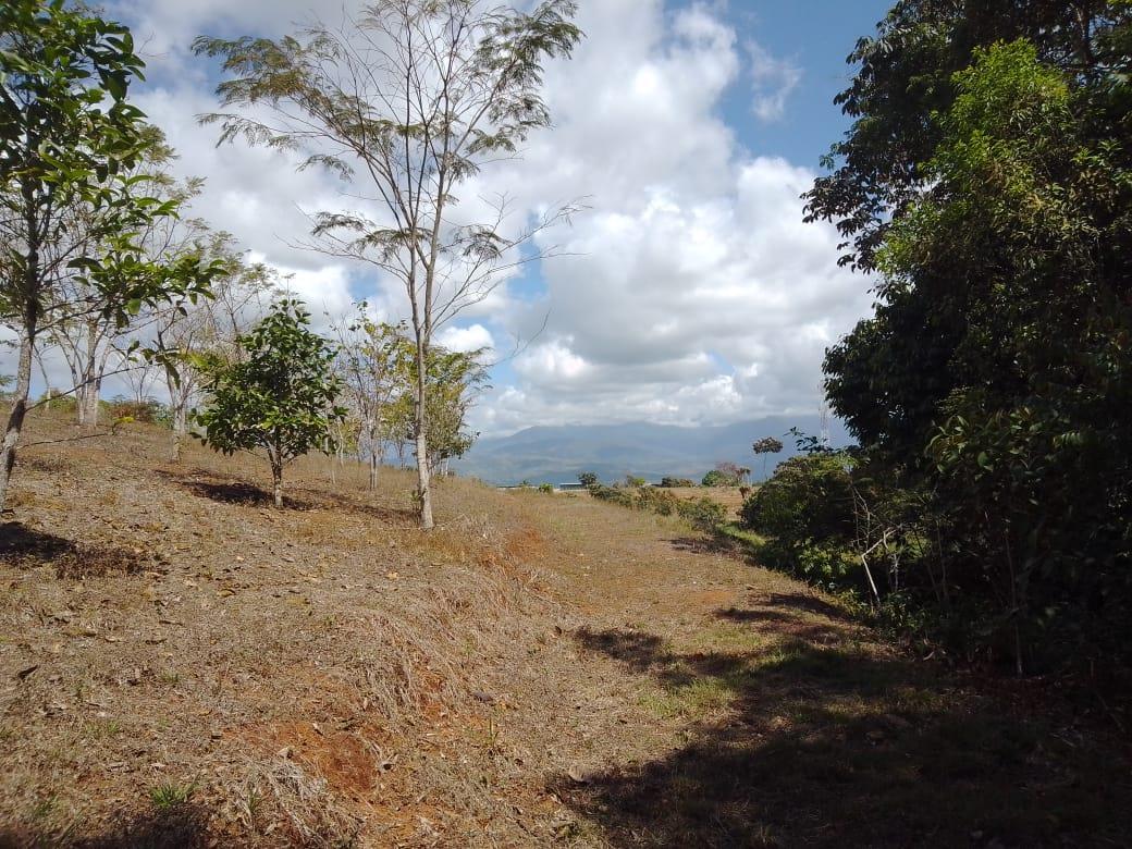 Mountain Fruit Farm Lagoon, Perez Zeledon, San Jose