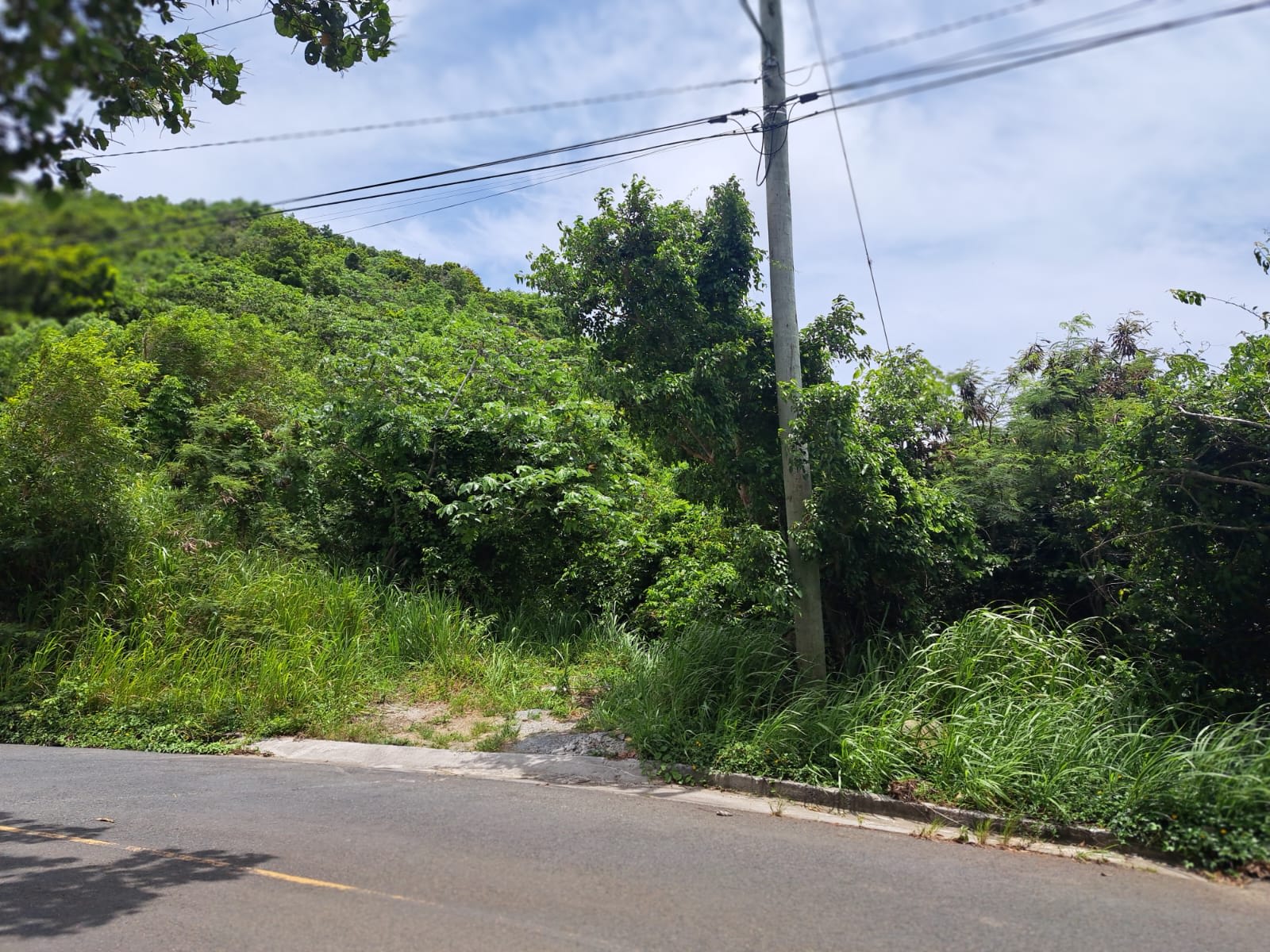 Cane Garden Bay (220)