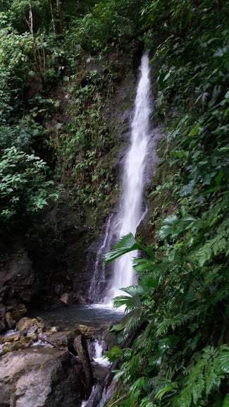 Sustainable Oceanfront Eco Lodge, Osa, Puntarenas