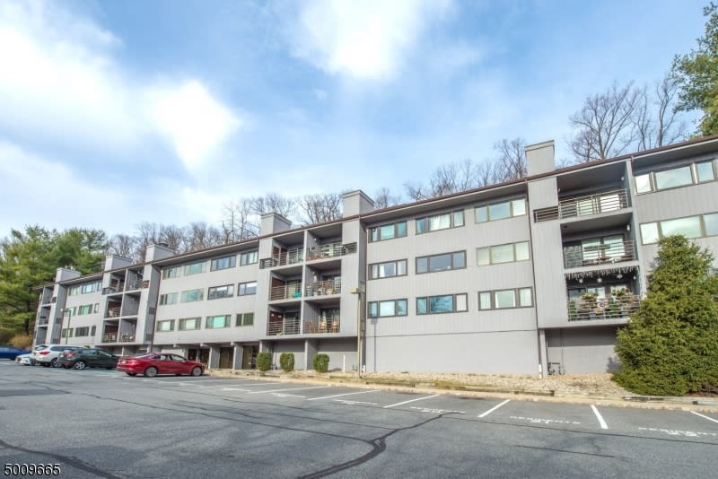 41 Mt Kemble Ave Unit: 203