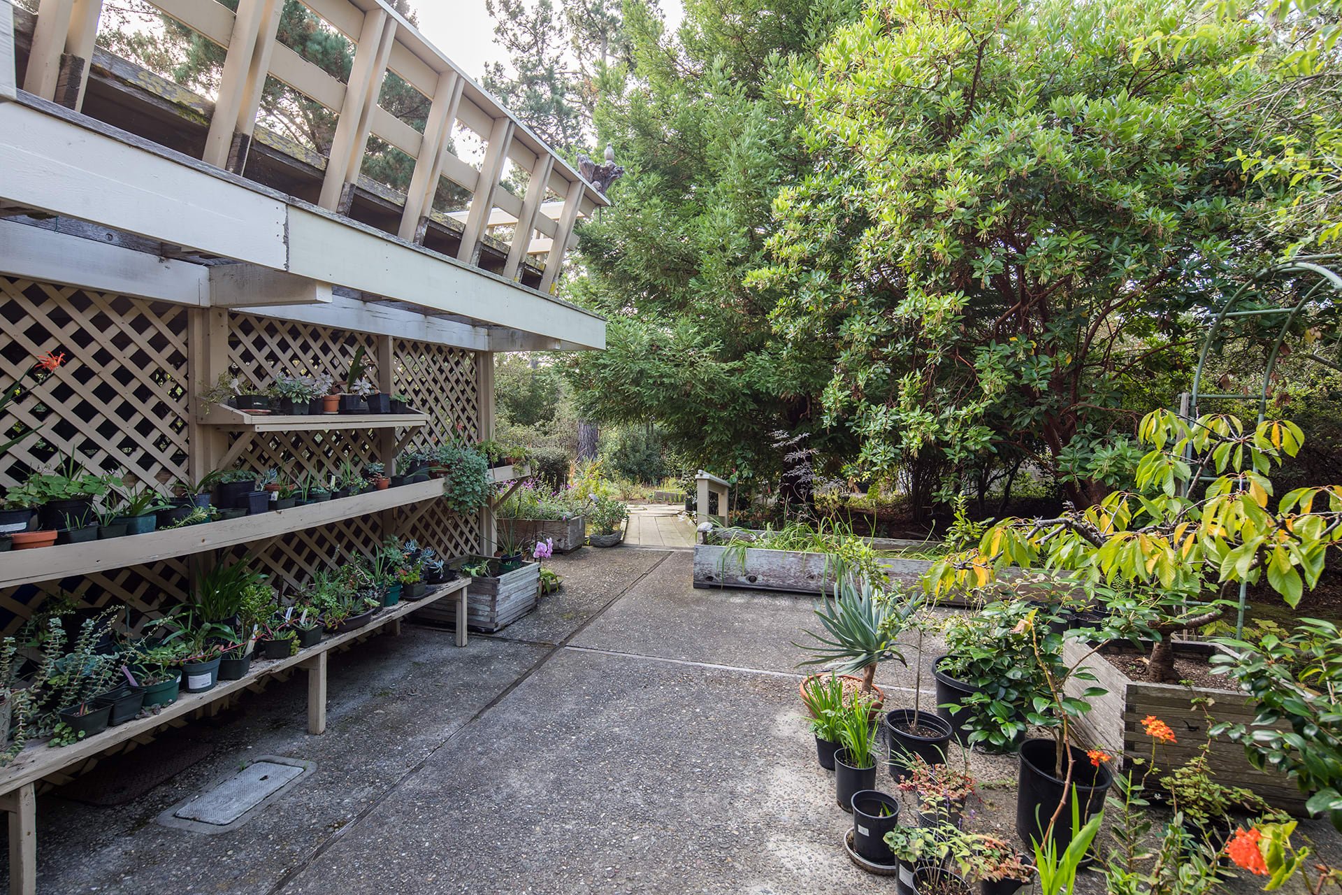 1633 Sonado Road, Pebble Beach