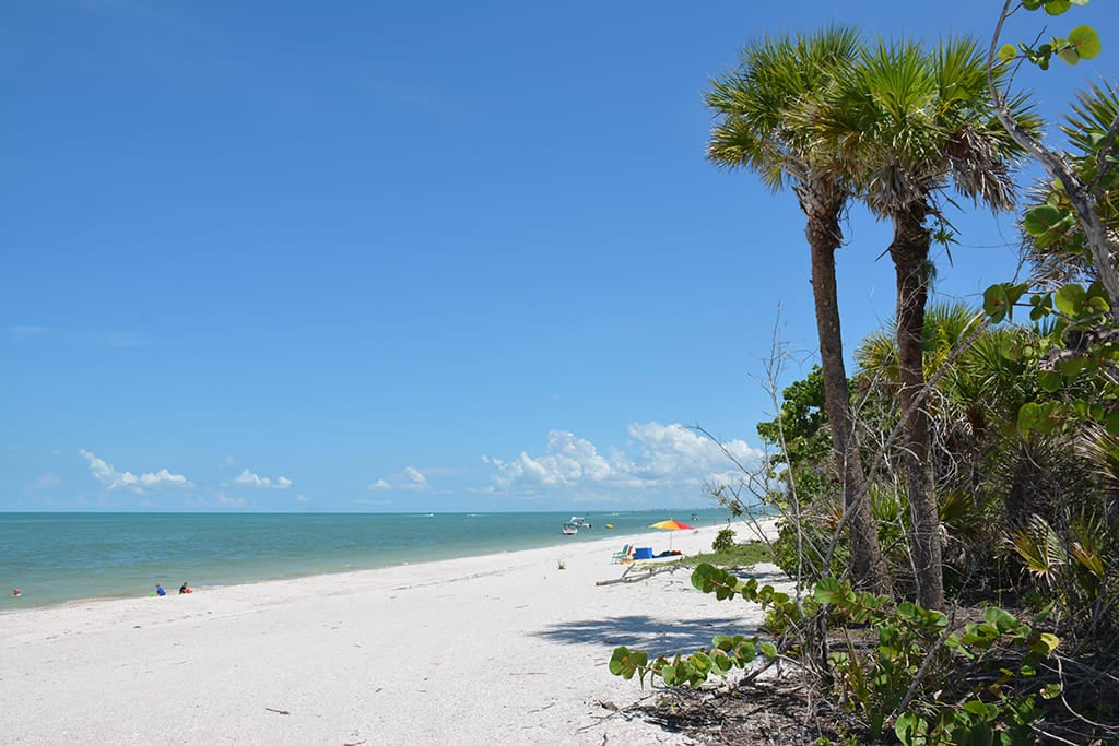 Barefoot Beach Preserve