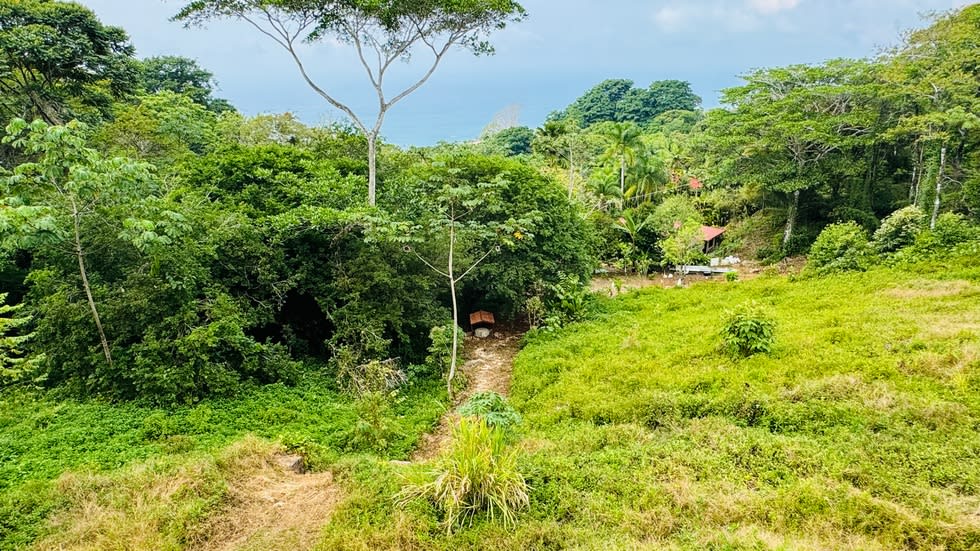 VACATION DREAM HOME WITH OCEAN VIEW IN THE ESCALERAS COMMUNITY OF DOMINICAL