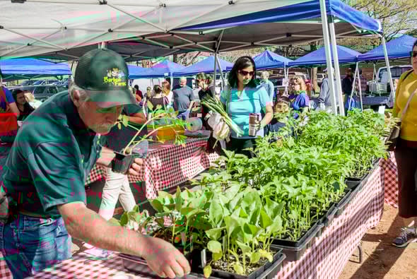 Summer Events in Lake Norman: Embrace the Fun and Festivities!