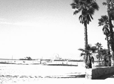 Golden Coast