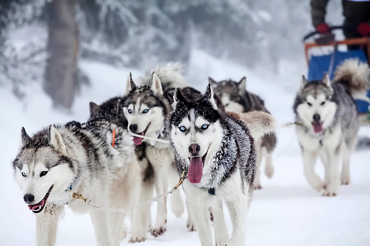 Colorado Mountain Town Activities For Non-Skiers