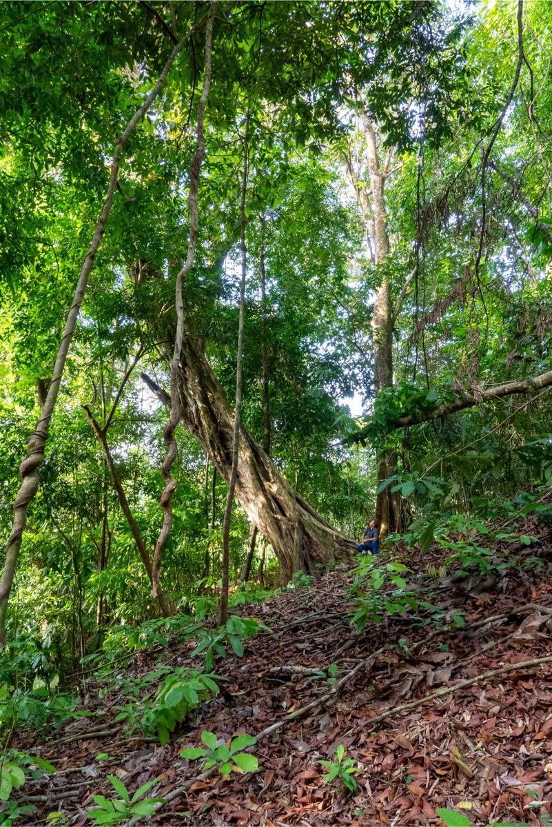 Private Ocean View Development Lot, Dominical, Puntarenas