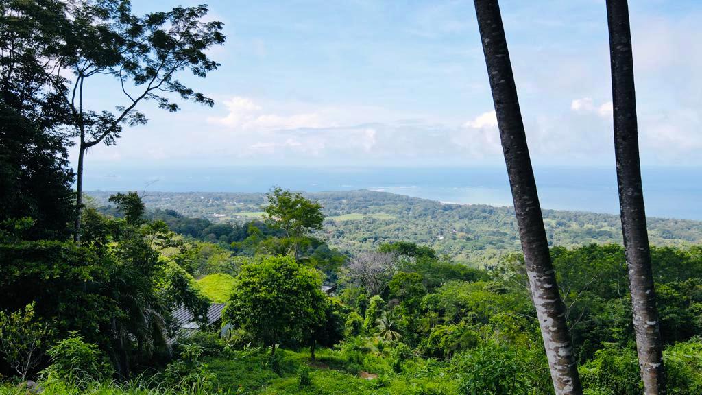 Gorgeous 1.43 Acres in Uvita Costa Rica Your Slice of Paradise Awaits