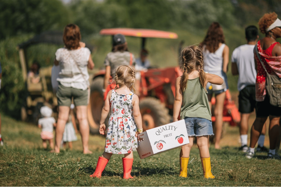 Top August Events in Northern Virginia