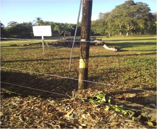 Quepos Commercial Property