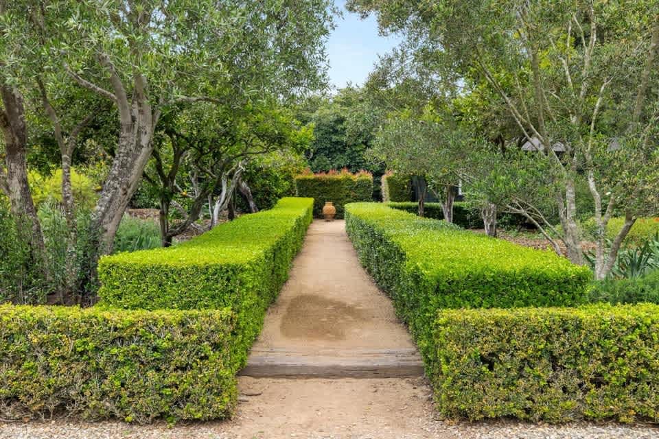 Diamond in The Rough - Hedgerow Montecito