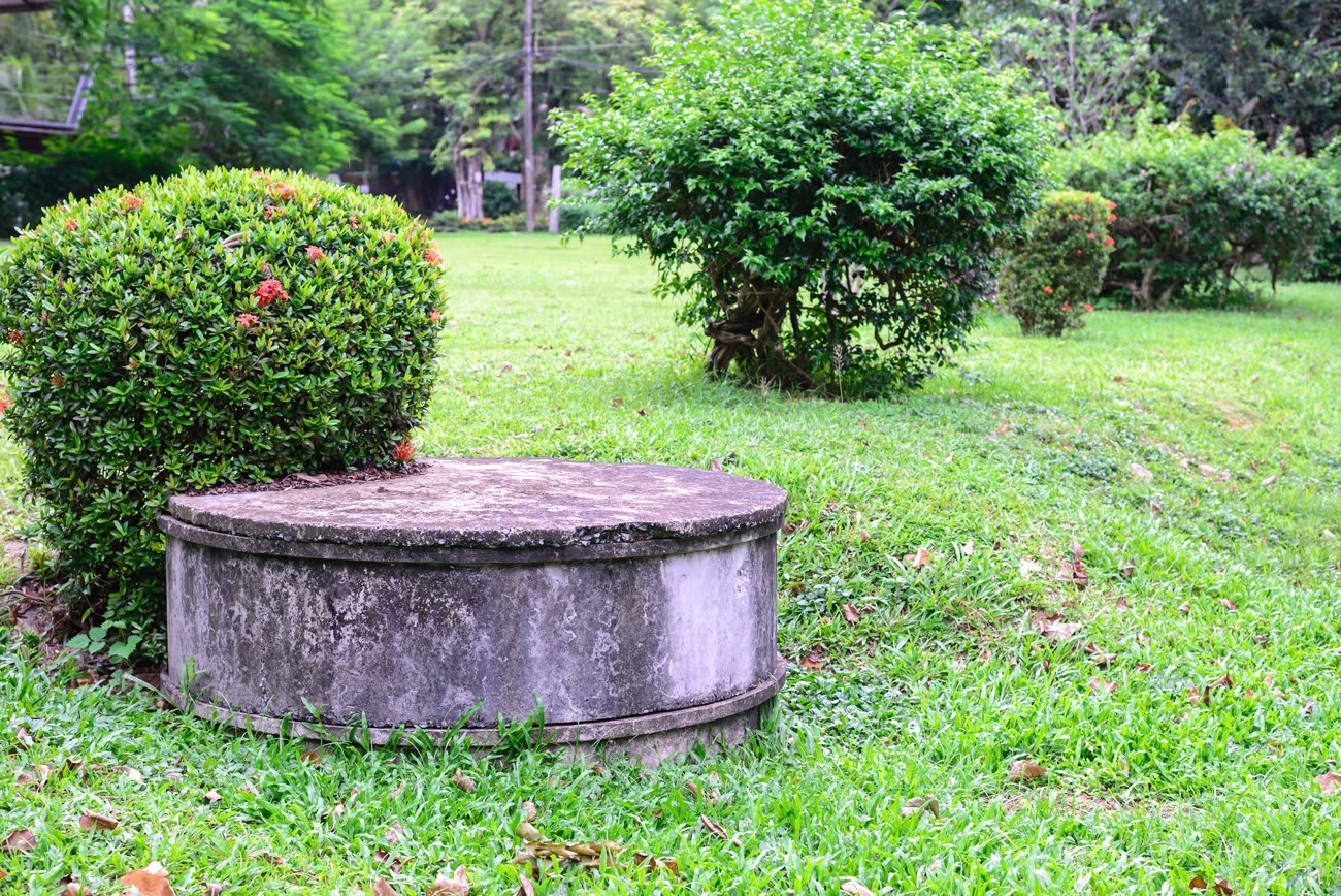 Septic Inspection