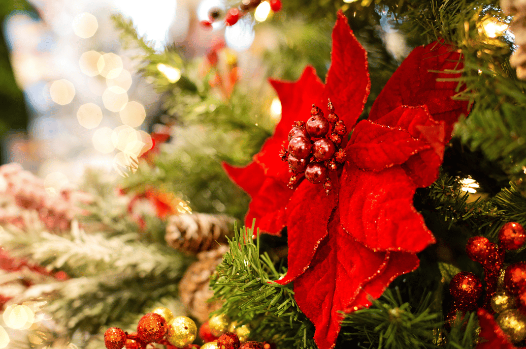 LUXE Top 5: Magical December Experiences