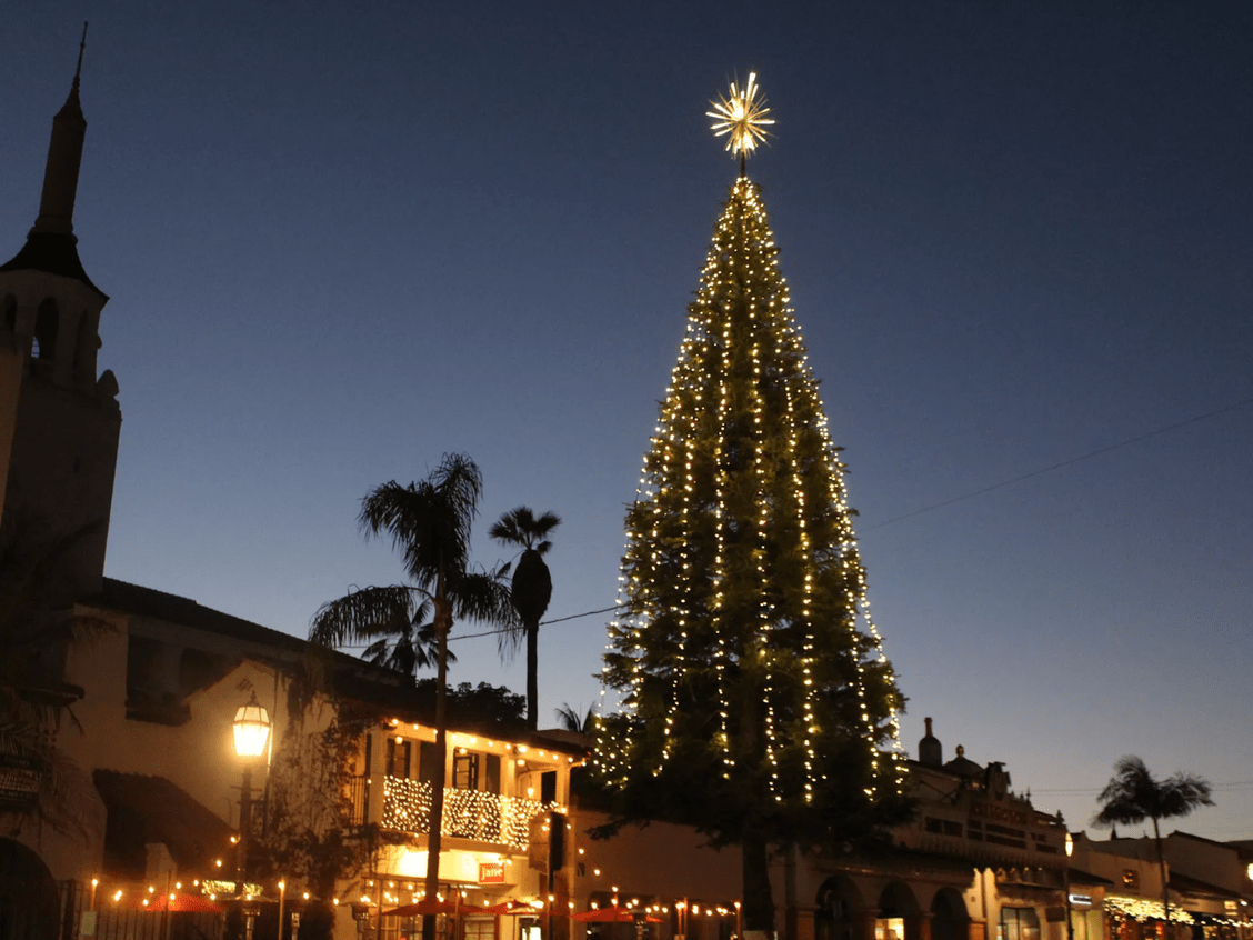 Santa Barbara Christmas Tree Lighting