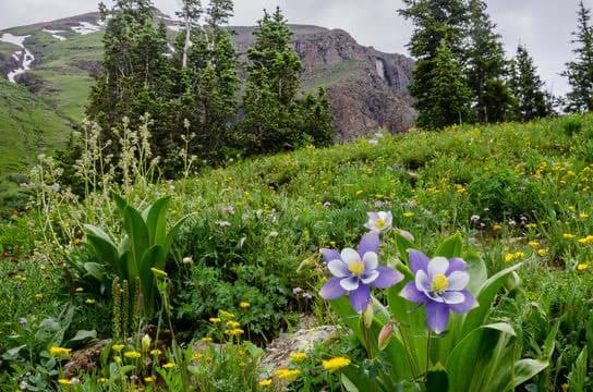 Spring Maintenance Checklist: Keeping Your Home in Peak Condition