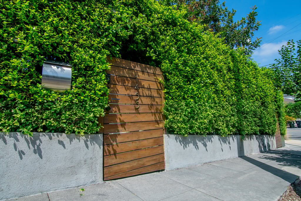 1506 Scott Ave.