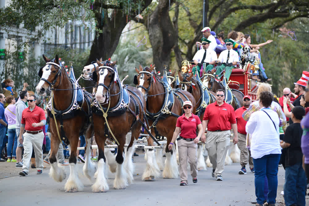 Parade Honors USA and Rancho Santa Fe Home Town Spirit