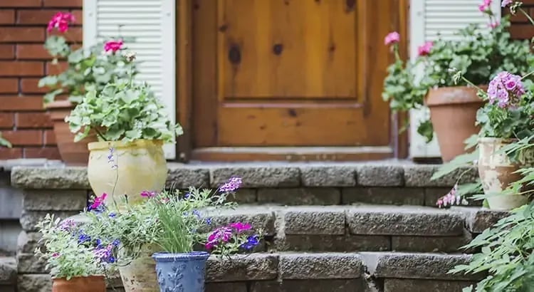 A close-up of stone steps adorned with potted plants and flowers leading to a wooden front door. The scene is colorful and inviting, with blooming flowers adding a touch of nature.