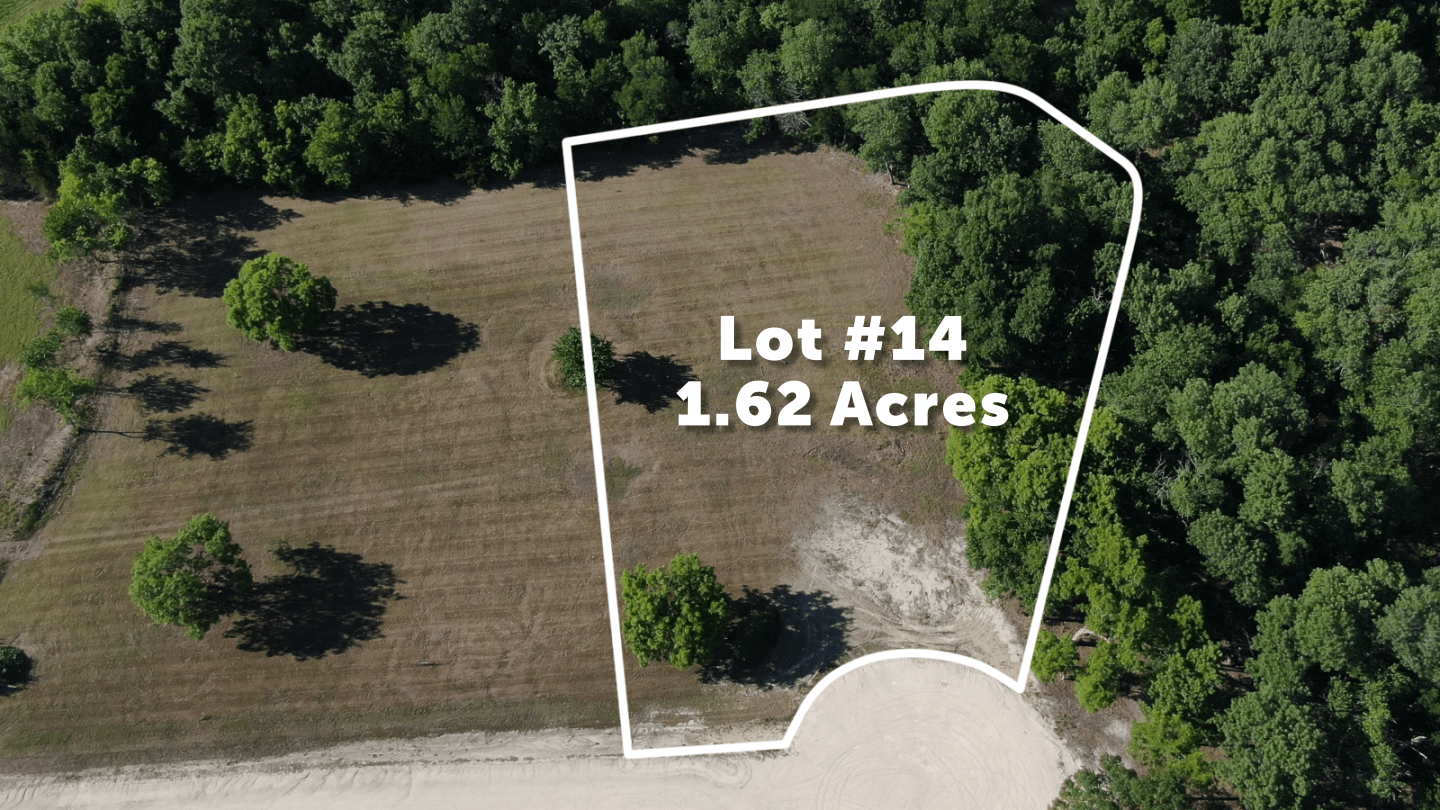 Lot 14
