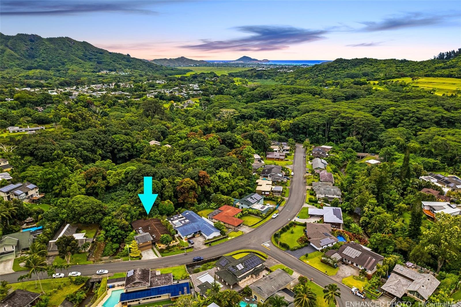 1245 Aloha Oe Drive (Buyer's Rep)