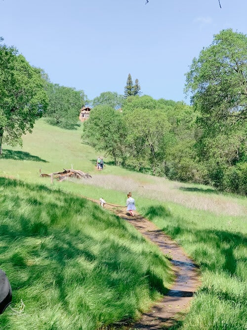 Folsom's Hinkle Creek Nature Trail