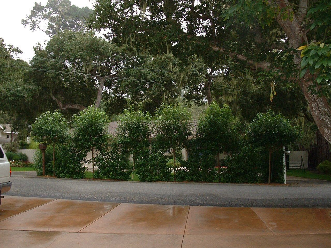 1097 Presidio Rd