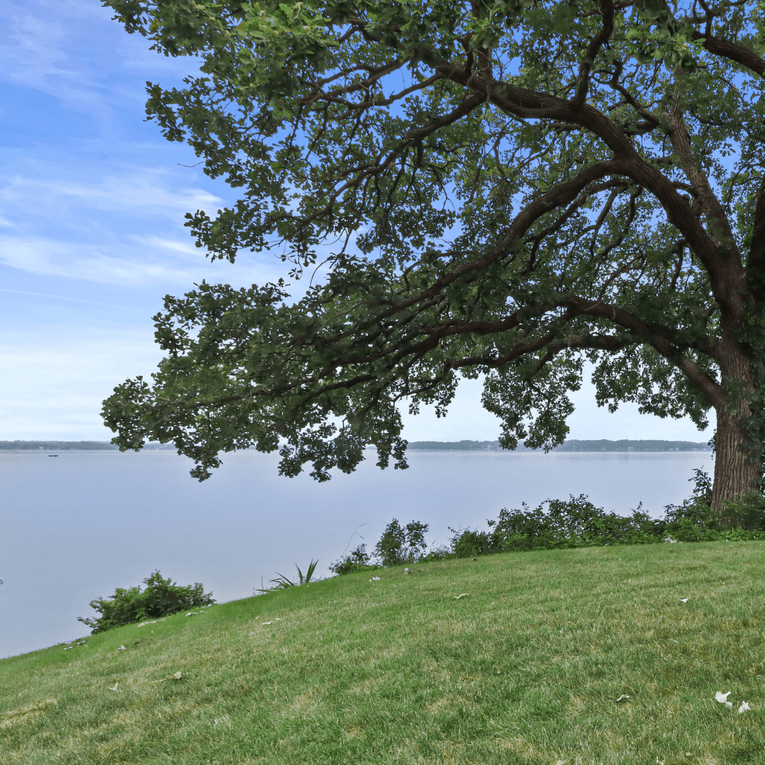 Lake Kegonsa