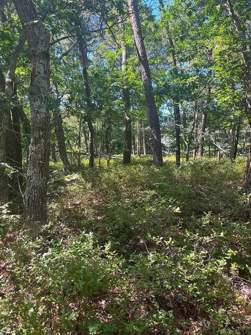 0 Crowell Ln LOT 9
